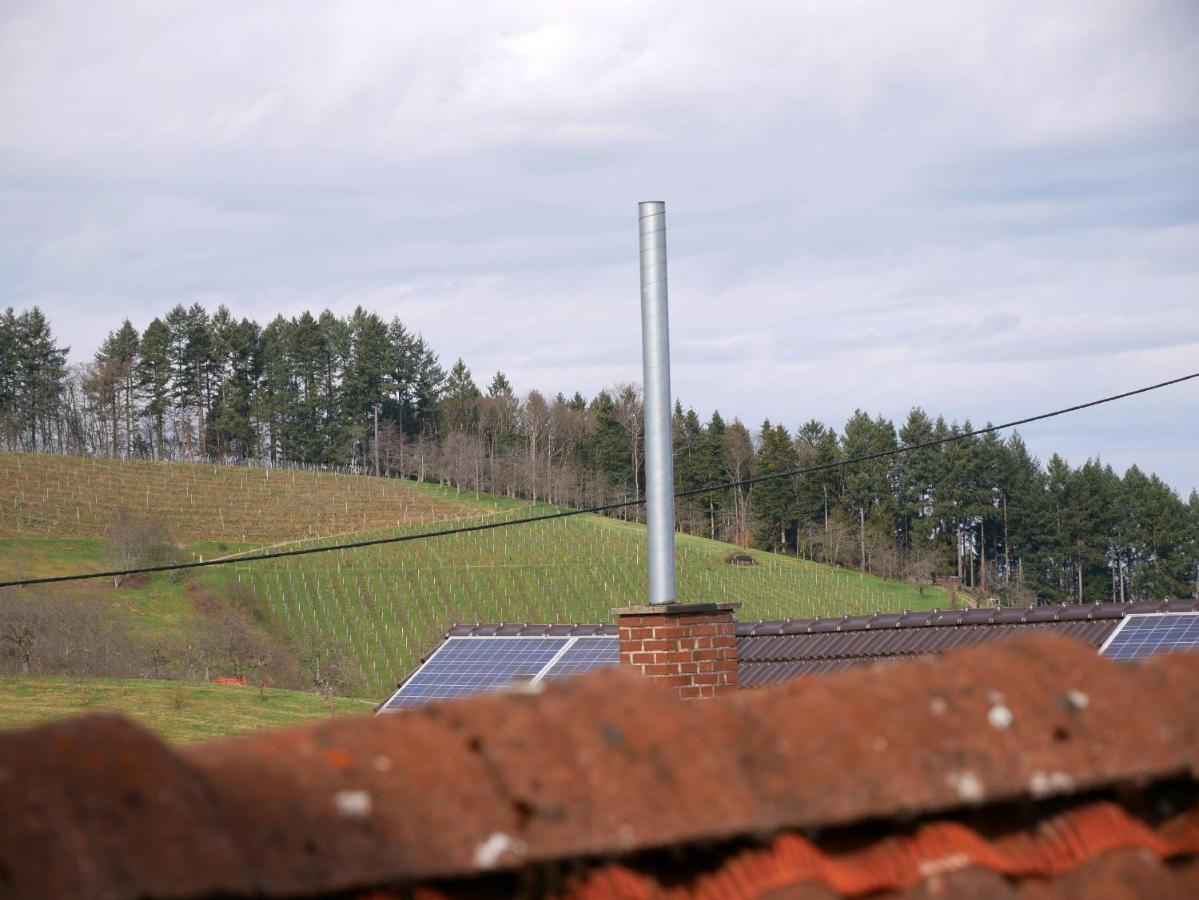 Ferienwohnung Obere Alm Oberkirch  Exteriér fotografie
