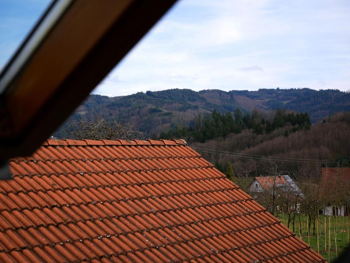 Ferienwohnung Obere Alm Oberkirch  Exteriér fotografie