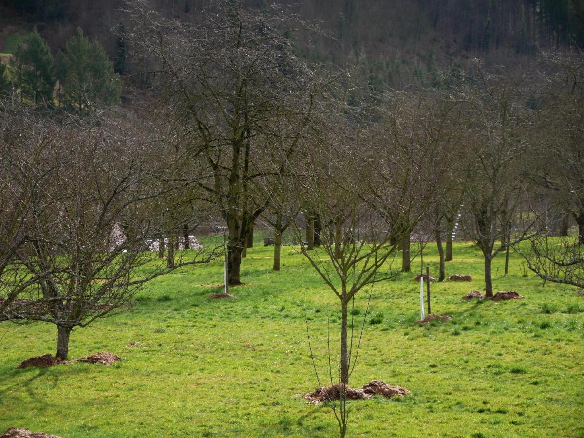 Ferienwohnung Obere Alm Oberkirch  Exteriér fotografie